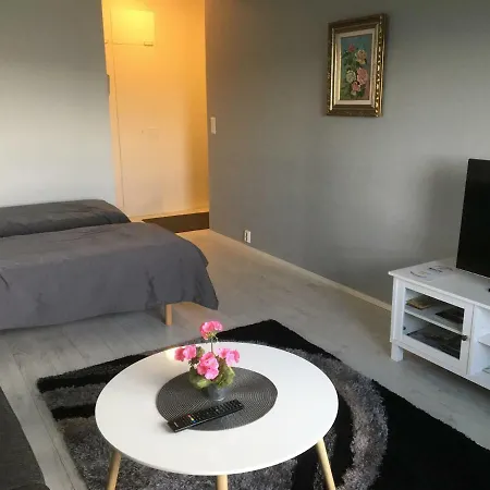 Apartment Torikatu Kouvola